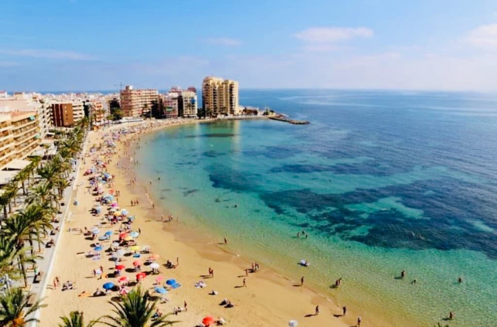 Dos Playas Oasis - 14