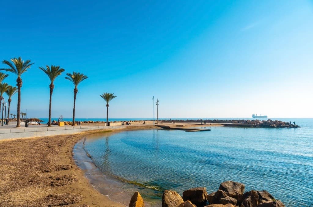 Dos Playas Oasis - 16