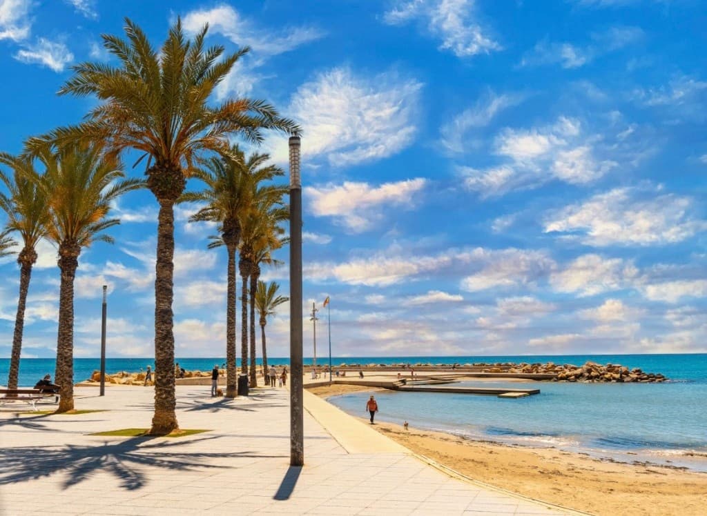 Dos Playas Oasis - 15