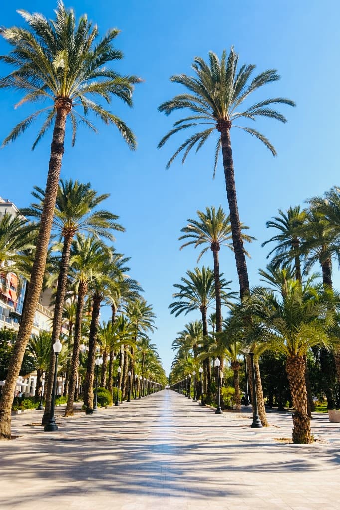 Tourist Attractions Near Alicante